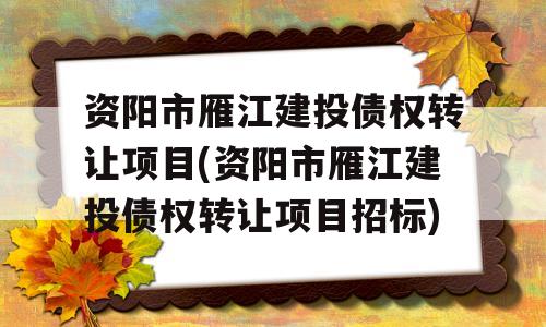 资阳市雁江建投债权转让项目(资阳市雁江建投债权转让项目招标)