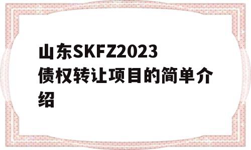 山东SKFZ2023债权转让项目的简单介绍