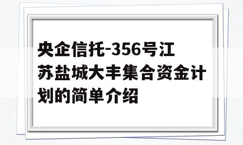 央企信托-356号江苏盐城大丰集合资金计划的简单介绍