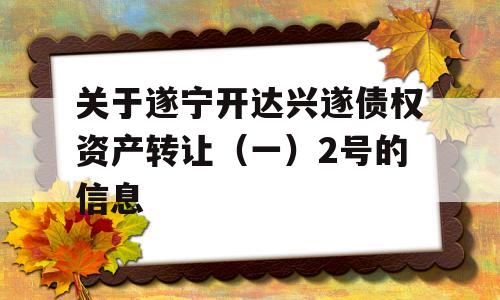 关于遂宁开达兴遂债权资产转让（一）2号的信息