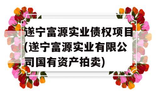 遂宁富源实业债权项目(遂宁富源实业有限公司国有资产拍卖)