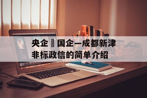 央企➕国企—成都新津非标政信的简单介绍