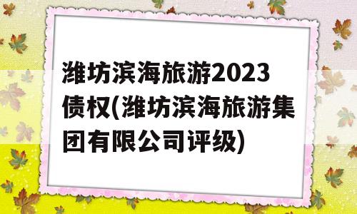 潍坊滨海旅游2023债权(潍坊滨海旅游集团有限公司评级)