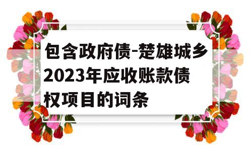 包含政府债-楚雄城乡2023年应收账款债权项目的词条