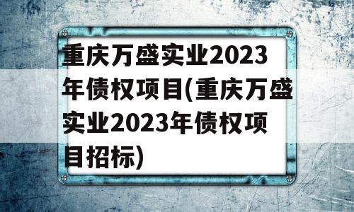 重庆万盛实业2023年债权项目(重庆万盛实业2023年债权项目招标)