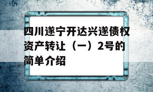 四川遂宁开达兴遂债权资产转让（一）2号的简单介绍