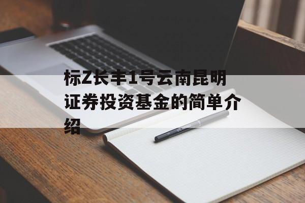 标Z长丰1号云南昆明证券投资基金的简单介绍