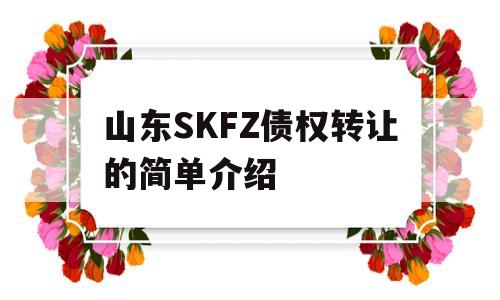 山东SKFZ债权转让的简单介绍