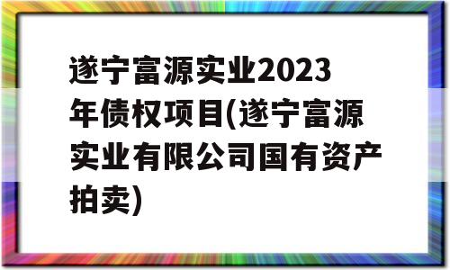 遂宁富源实业2023年债权项目(遂宁富源实业有限公司国有资产拍卖)