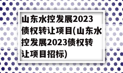 山东水控发展2023债权转让项目(山东水控发展2023债权转让项目招标)