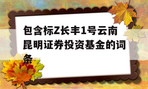 包含标Z长丰1号云南昆明证券投资基金的词条