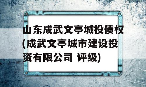 山东成武文亭城投债权(成武文亭城市建设投资有限公司 评级)