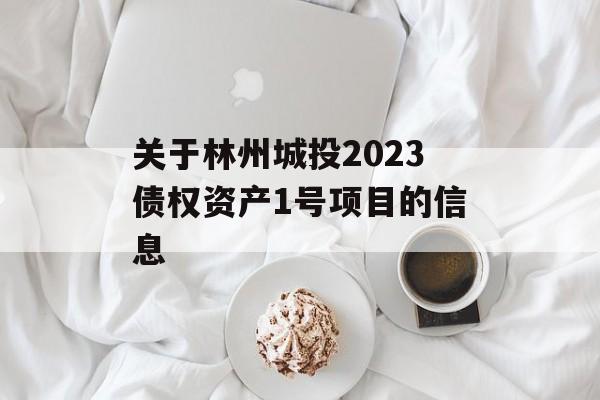 关于林州城投2023债权资产1号项目的信息