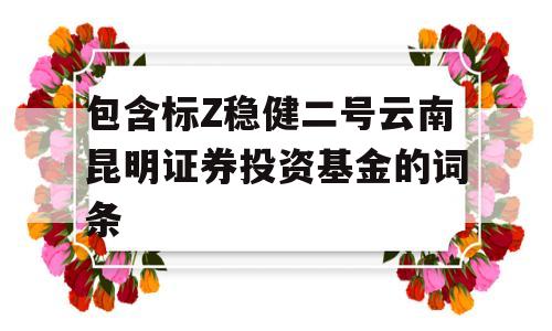 包含标Z稳健二号云南昆明证券投资基金的词条