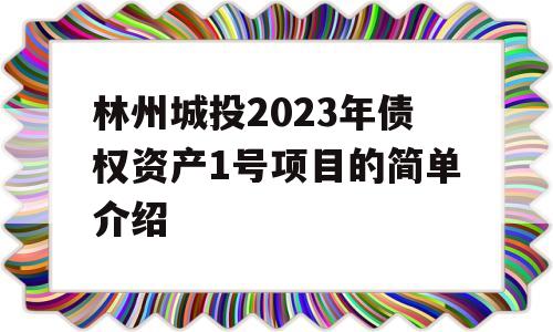 林州城投2023年债权资产1号项目的简单介绍