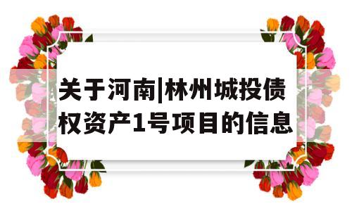 关于河南|林州城投债权资产1号项目的信息