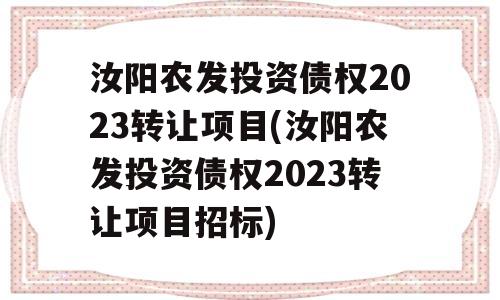 汝阳农发投资债权2023转让项目(汝阳农发投资债权2023转让项目招标)