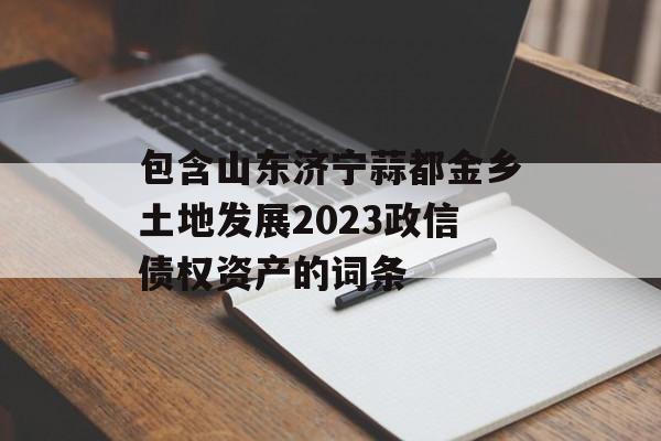 包含山东济宁蒜都金乡土地发展2023政信债权资产的词条