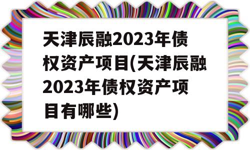 天津辰融2023年债权资产项目(天津辰融2023年债权资产项目有哪些)