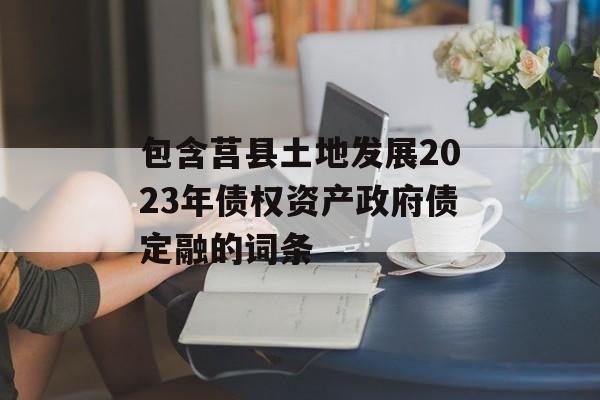 包含莒县土地发展2023年债权资产政府债定融的词条