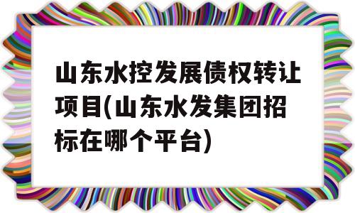 山东水控发展债权转让项目(山东水发集团招标在哪个平台)