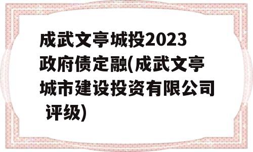 成武文亭城投2023政府债定融(成武文亭城市建设投资有限公司 评级)