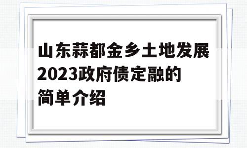 山东蒜都金乡土地发展2023政府债定融的简单介绍