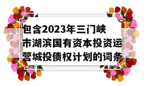 包含2023年三门峡市湖滨国有资本投资运营城投债权计划的词条