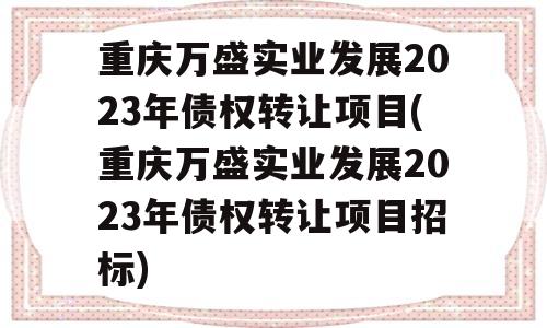 重庆万盛实业发展2023年债权转让项目(重庆万盛实业发展2023年债权转让项目招标)