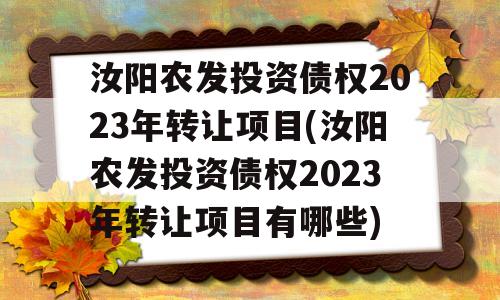 汝阳农发投资债权2023年转让项目(汝阳农发投资债权2023年转让项目有哪些)