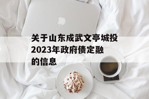 关于山东成武文亭城投2023年政府债定融的信息