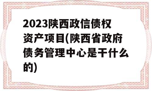 2023陕西政信债权资产项目(陕西省政府债务管理中心是干什么的)