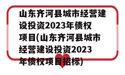 山东齐河县城市经营建设投资2023年债权项目(山东齐河县城市经营建设投资2023年债权项目招标)