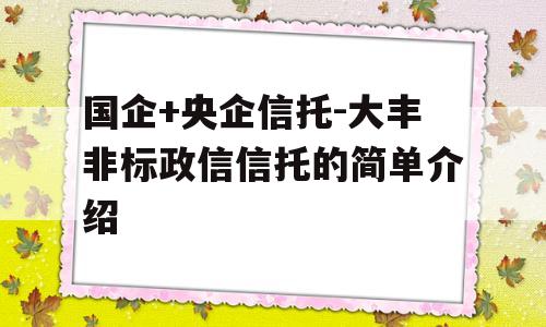 国企+央企信托-大丰非标政信信托的简单介绍