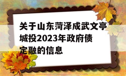 关于山东菏泽成武文亭城投2023年政府债定融的信息