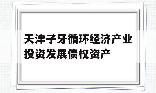 天津子牙循环经济产业投资发展债权资产