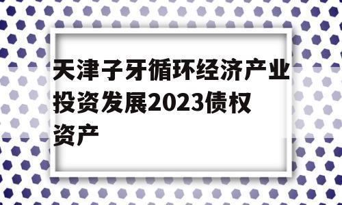 天津子牙循环经济产业投资发展2023债权资产