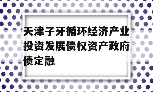 天津子牙循环经济产业投资发展债权资产政府债定融