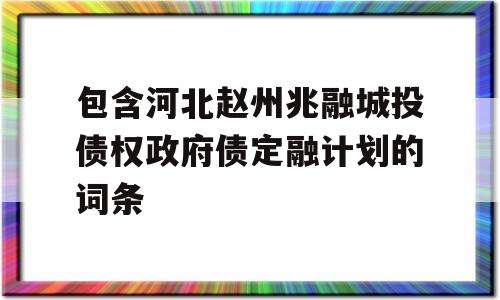 包含河北赵州兆融城投债权政府债定融计划的词条