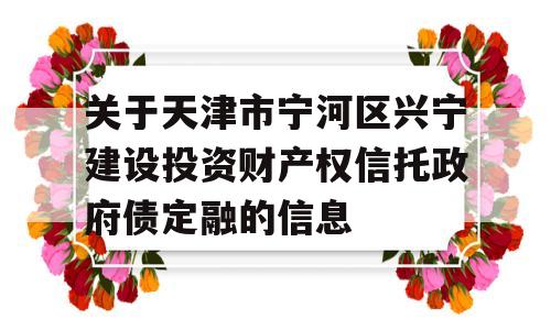 关于天津市宁河区兴宁建设投资财产权信托政府债定融的信息