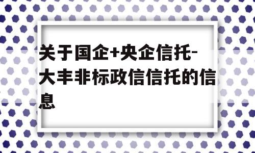 关于国企+央企信托-大丰非标政信信托的信息