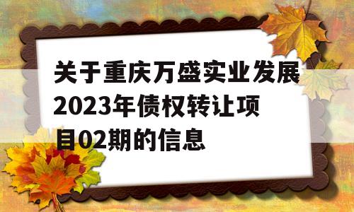 关于重庆万盛实业发展2023年债权转让项目02期的信息