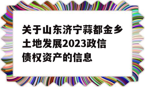 关于山东济宁蒜都金乡土地发展2023政信债权资产的信息