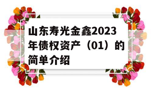 山东寿光金鑫2023年债权资产（01）的简单介绍