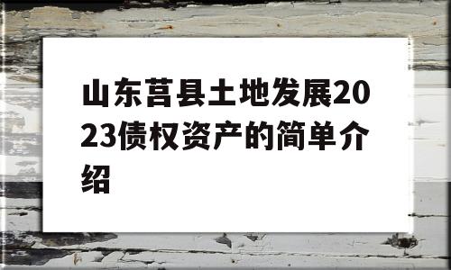 山东莒县土地发展2023债权资产的简单介绍