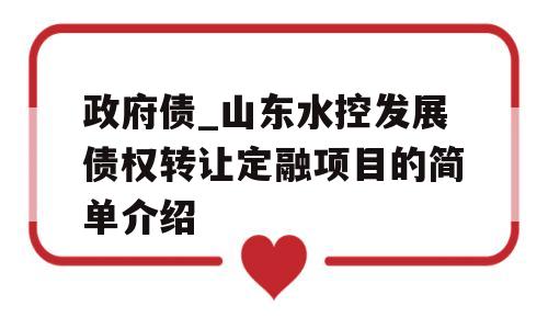 政府债_山东水控发展债权转让定融项目的简单介绍