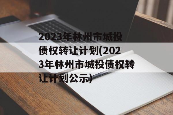 2023年林州市城投债权转让计划(2023年林州市城投债权转让计划公示)