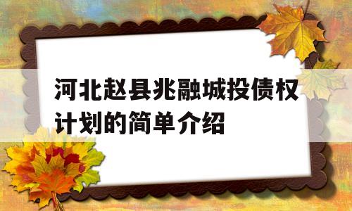 河北赵县兆融城投债权计划的简单介绍