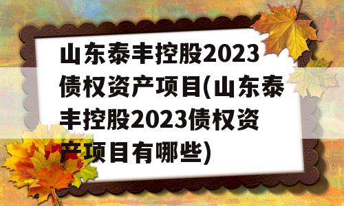 山东泰丰控股2023债权资产项目(山东泰丰控股2023债权资产项目有哪些)