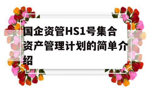 国企资管HS1号集合资产管理计划的简单介绍